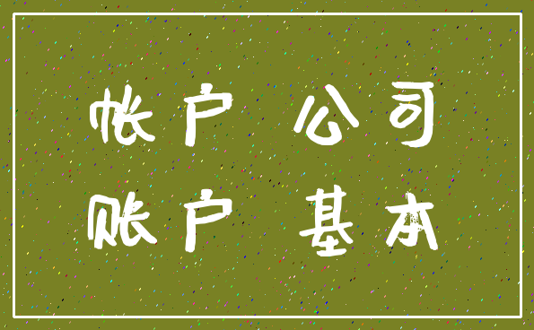 帐户 公司_账户 基本