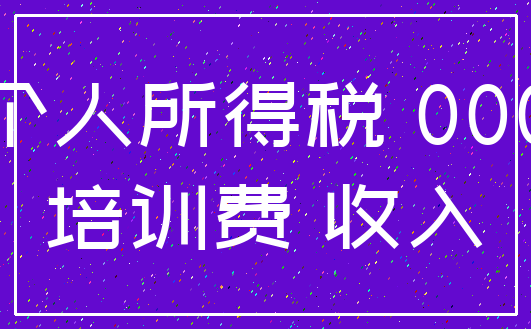 个人所得税 000_培训费 收入