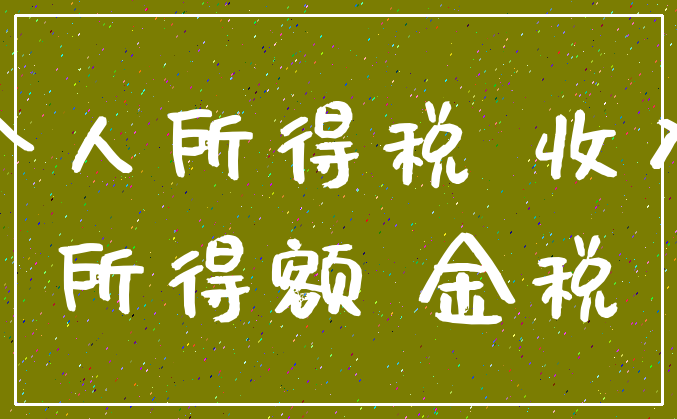 个人所得税 收入_所得额 金税