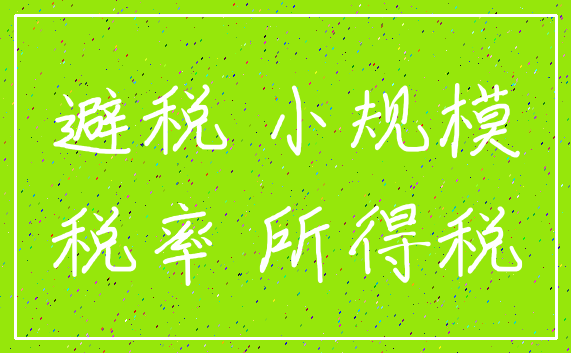 避税 小规模_税率 所得税