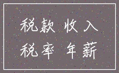 税款 收入_税率 年薪