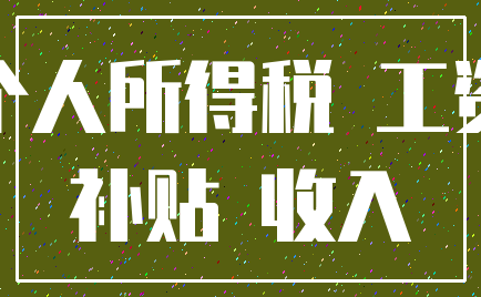 个人所得税 工资_补贴 收入