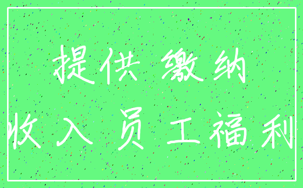 提供 缴纳_收入 员工福利