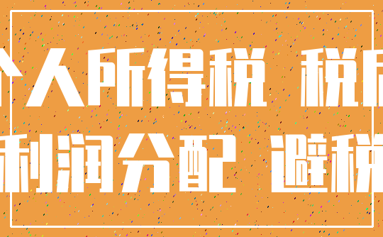 个人所得税 税后_利润分配 避税