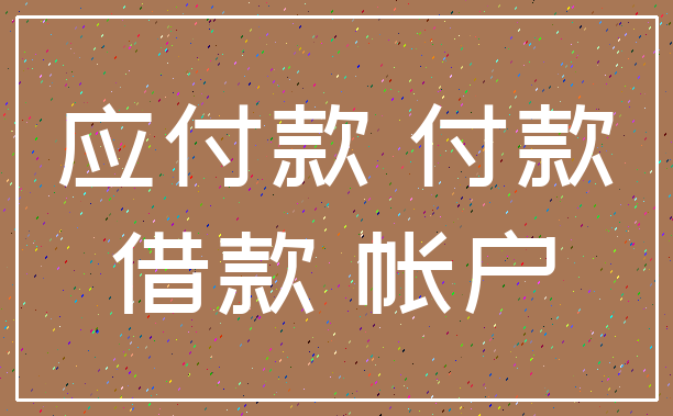 应付款 付款_借款 帐户