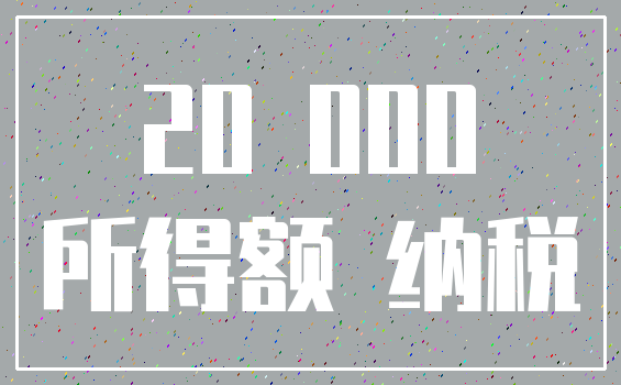 20 000_所得额 纳税