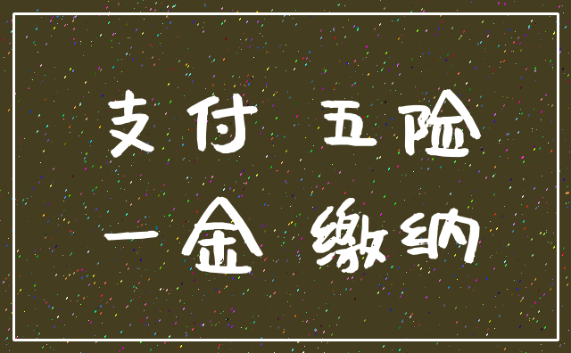 支付 五险_一金 缴纳