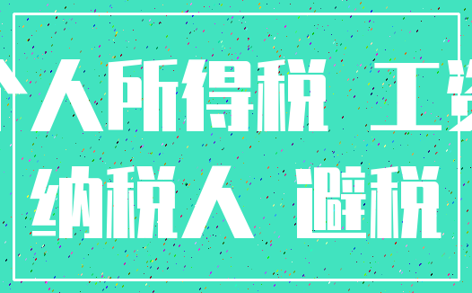 个人所得税 工资_纳税人 避税