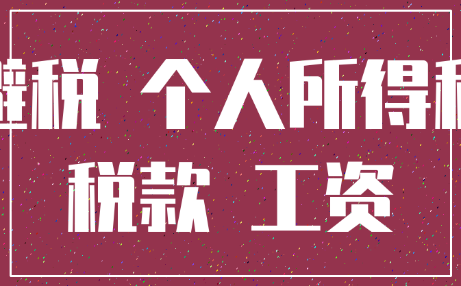 避税 个人所得税_税款 工资