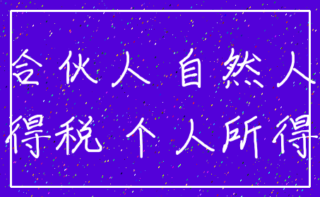 合伙人 自然人_所得税 个人所得税