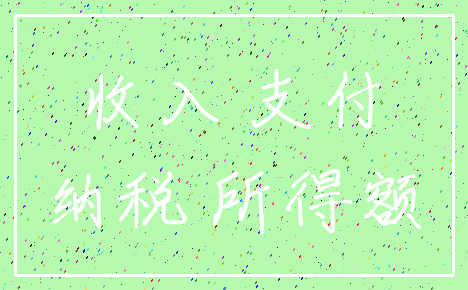 收入 支付_纳税 所得额