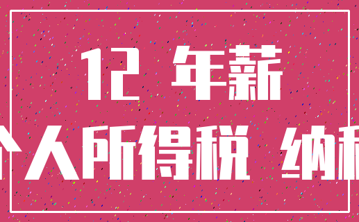 12 年薪_个人所得税 纳税