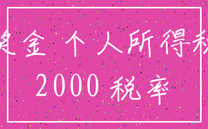 奖金 个人所得税_2000 税率