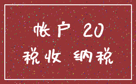 帐户 20_税收 纳税