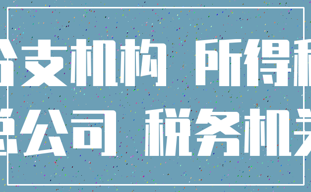 分支机构 所得税_总公司 税务机关