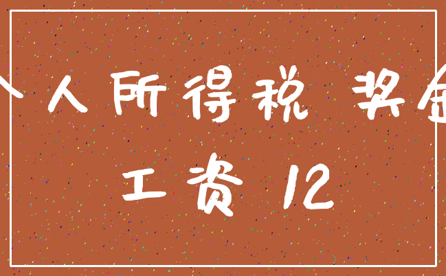 个人所得税 奖金_工资 12