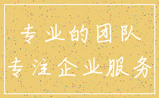 专业的团队_专注企业服务