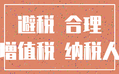 避税 合理_增值税 纳税人