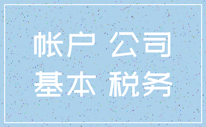 帐户 公司_基本 税务