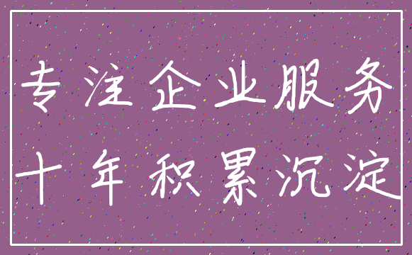 专注企业服务_十年积累沉淀