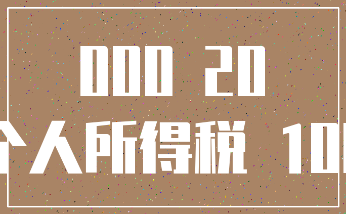 000 20_个人所得税 100