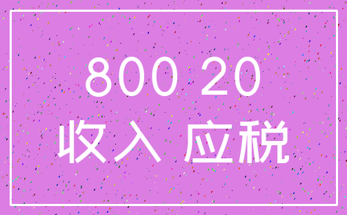 800 20_收入 应税