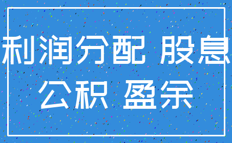 利润分配 股息_公积 盈余