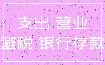 支出 营业_避税 银行存款