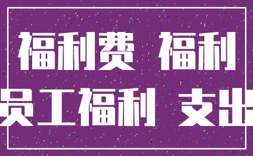 福利费 福利_员工福利 支出