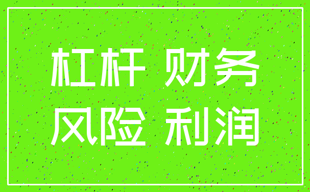 杠杆 财务_风险 利润