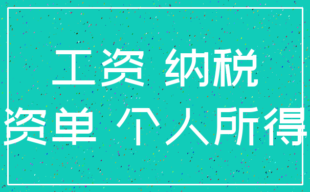 工资 纳税_工资单 个人所得税