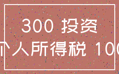 300 投资_个人所得税 100