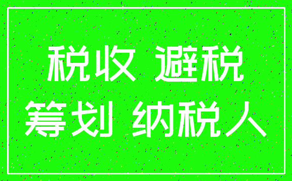 税收 避税_筹划 纳税人