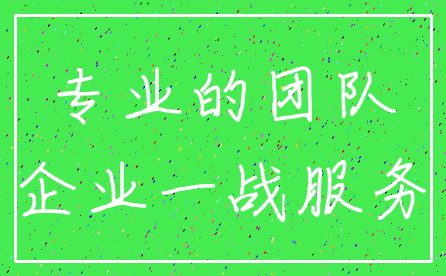 专业的团队_企业一战服务
