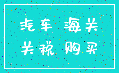 汽车 海关_关税 购买