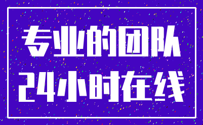 专业的团队_24小时在线