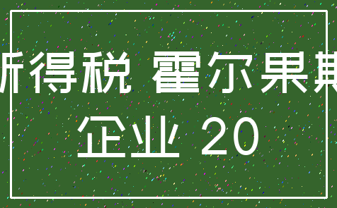所得税 霍尔果斯_企业 20