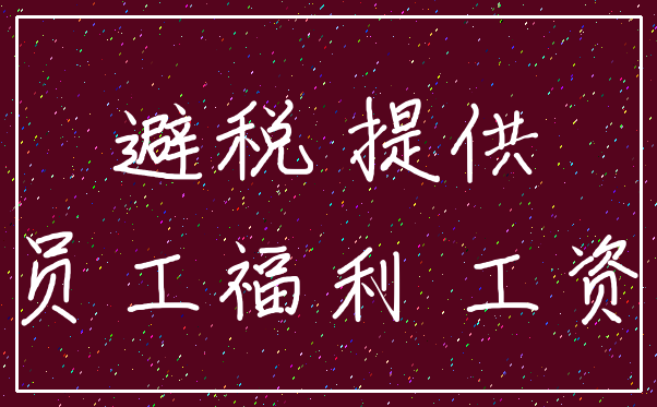 避税 提供_员工福利 工资