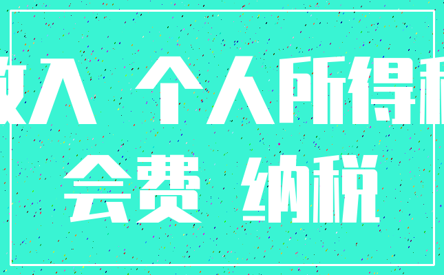 收入 个人所得税_会费 纳税