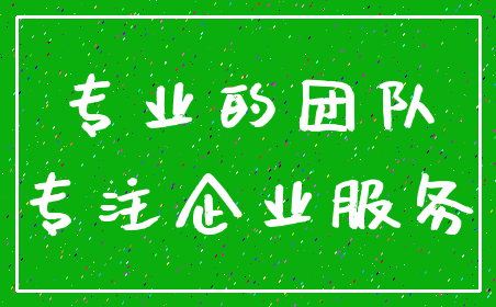 专业的团队_专注企业服务