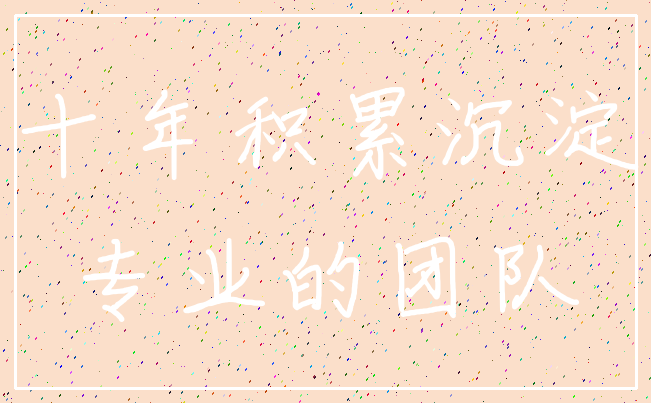 十年积累沉淀_专业的团队