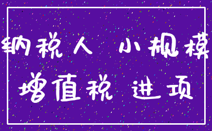 纳税人 小规模_增值税 进项