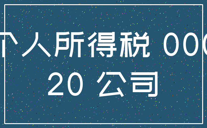 个人所得税 000_20 公司