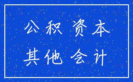 公积 资本_其他 会计