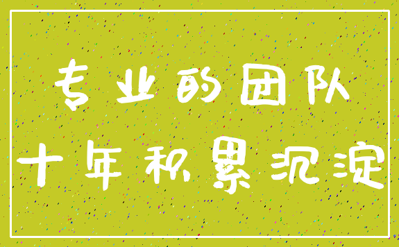 专业的团队_十年积累沉淀