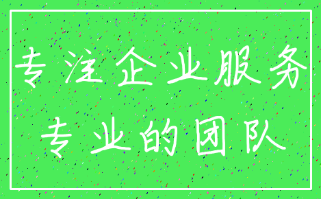 专注企业服务_专业的团队