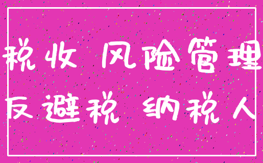 税收 风险管理_反避税 纳税人