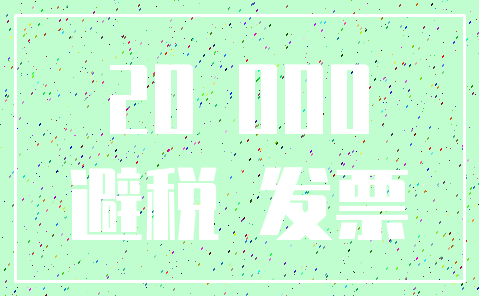 20 000_避税 发票