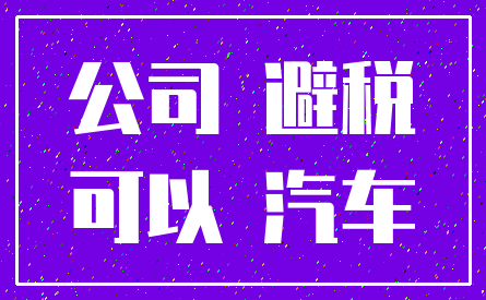 公司 避税_可以 汽车