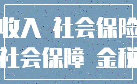 收入 社会保险_社会保障 金税
